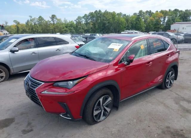 Photo 5 VIN: JTJGJRDZ0M5013748 - LEXUS NX 