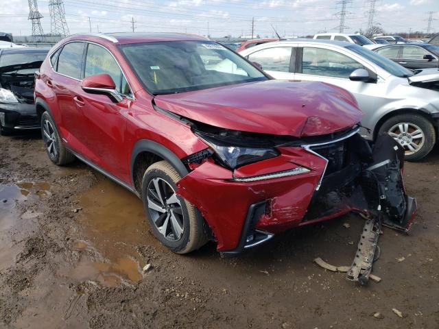 Photo 3 VIN: JTJGJRDZ2L5004144 - LEXUS NX 