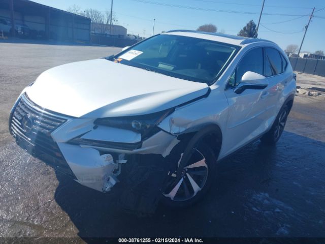 Photo 1 VIN: JTJGJRDZ2M2168187 - LEXUS NX 300H 