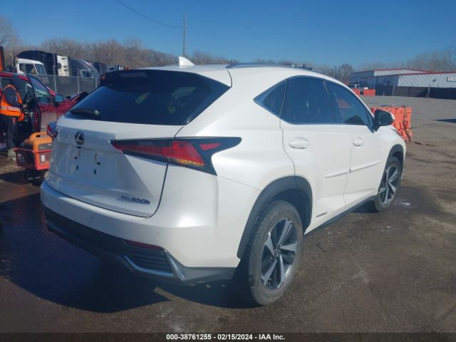 Photo 3 VIN: JTJGJRDZ2M2168187 - LEXUS NX 300H 