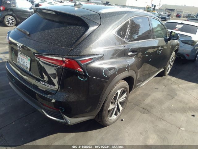 Photo 3 VIN: JTJGJRDZ3L2128117 - LEXUS NX 