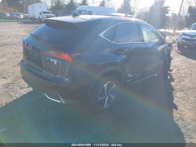 Photo 3 VIN: JTJGJRDZ3L2143992 - LEXUS NX 