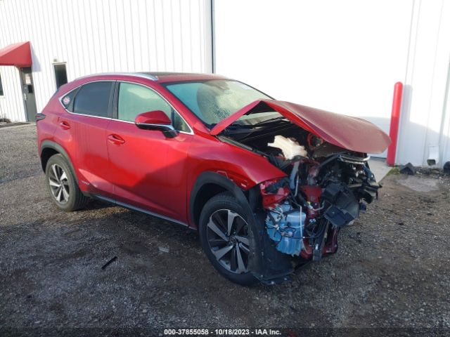 Photo 0 VIN: JTJGJRDZ3M5013789 - LEXUS NX 300H 