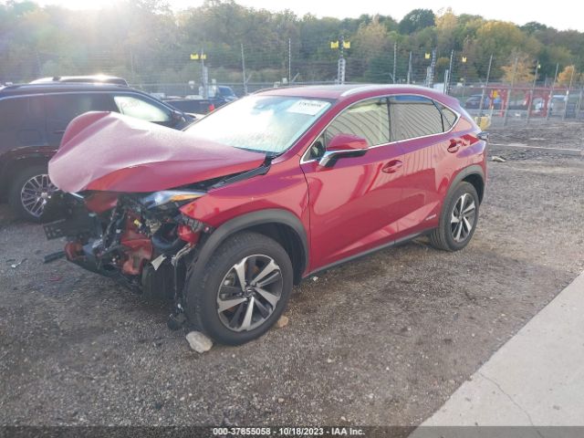 Photo 1 VIN: JTJGJRDZ3M5013789 - LEXUS NX 300H 