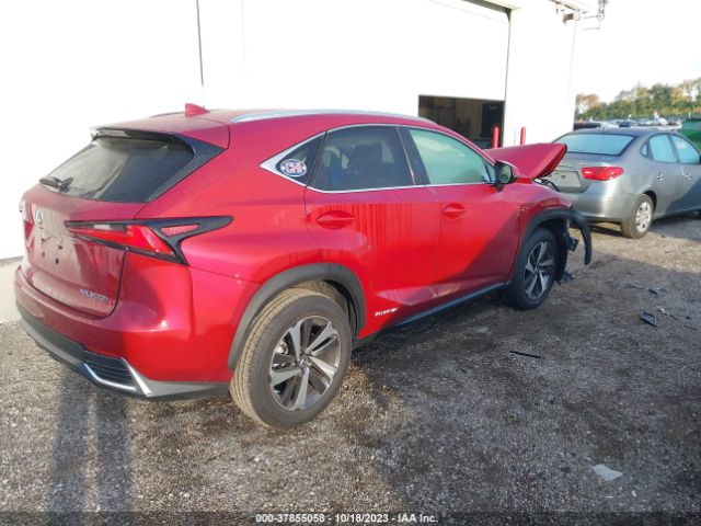 Photo 3 VIN: JTJGJRDZ3M5013789 - LEXUS NX 300H 