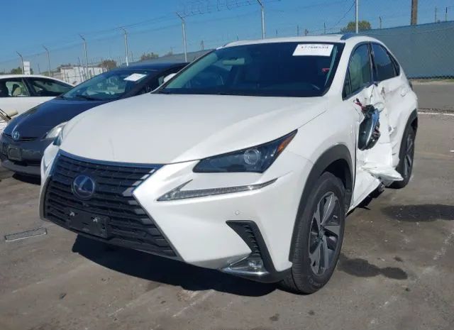 Photo 1 VIN: JTJGJRDZ4M2158843 - LEXUS NX 