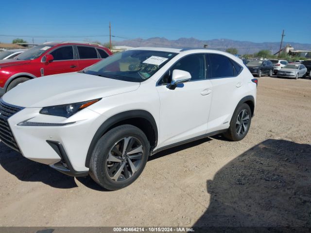 Photo 1 VIN: JTJGJRDZ5L5002436 - LEXUS NX 