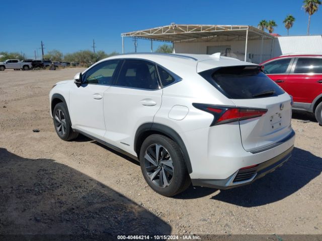 Photo 2 VIN: JTJGJRDZ5L5002436 - LEXUS NX 