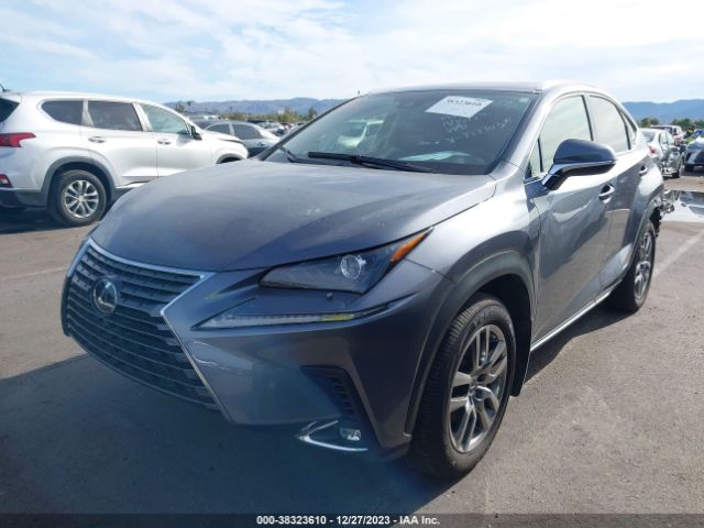 Photo 1 VIN: JTJGJRDZ5M2157703 - LEXUS NX 300H 