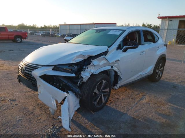 Photo 1 VIN: JTJGJRDZ6L2126197 - LEXUS NX 