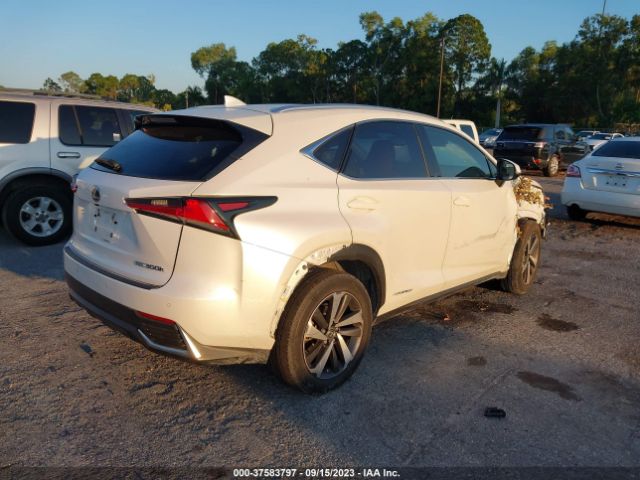 Photo 3 VIN: JTJGJRDZ6L2126197 - LEXUS NX 