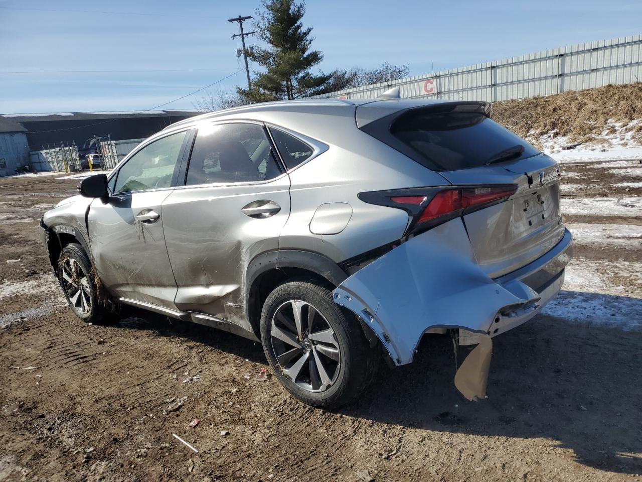 Photo 1 VIN: JTJGJRDZ6L5007211 - LEXUS NX 