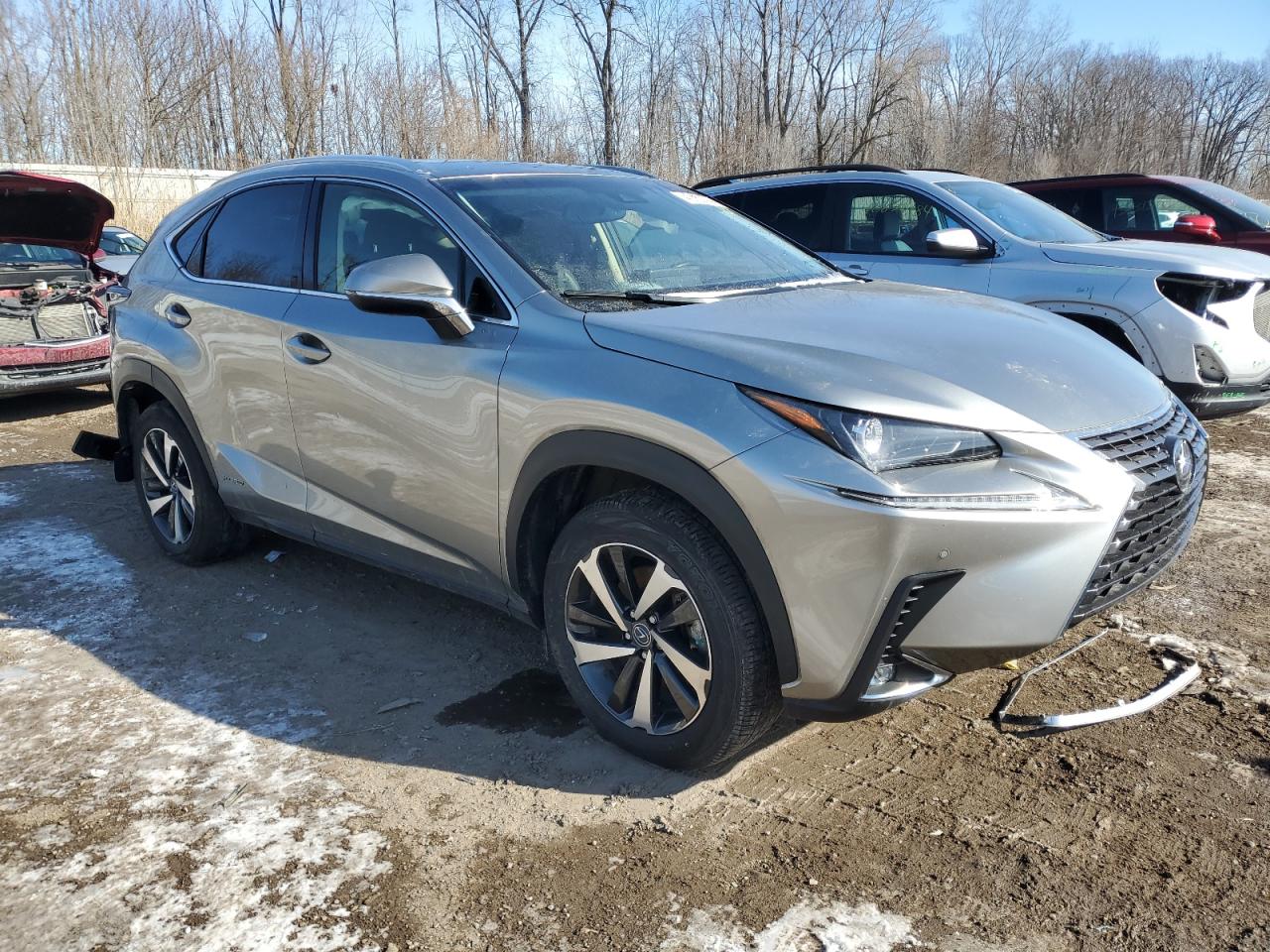 Photo 3 VIN: JTJGJRDZ6L5007211 - LEXUS NX 