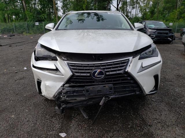 Photo 4 VIN: JTJGJRDZ8L2141784 - LEXUS NX 