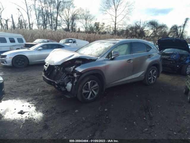 Photo 1 VIN: JTJGJRDZ9L2129272 - LEXUS NX 