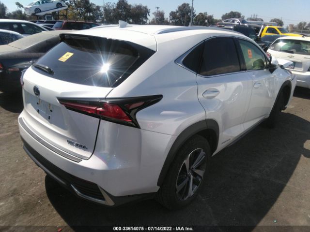 Photo 3 VIN: JTJGJRDZ9L2144340 - LEXUS NX 