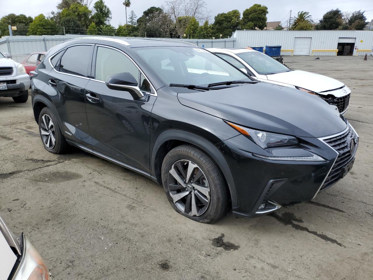 Photo 3 VIN: JTJGJRDZ9L2145780 - LEXUS NX 