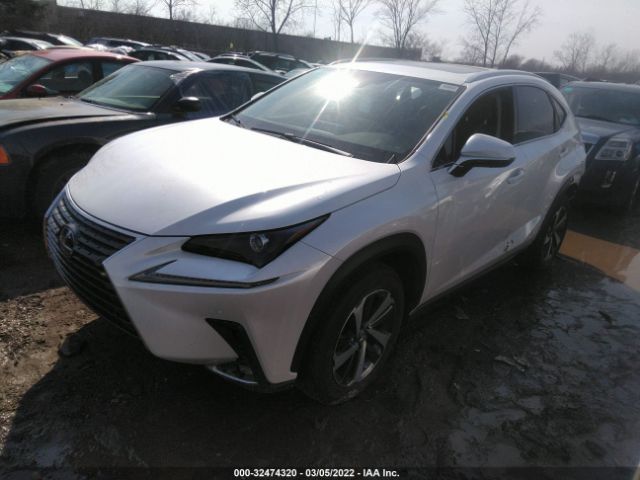 Photo 1 VIN: JTJGJRDZ9M2168753 - LEXUS NX 