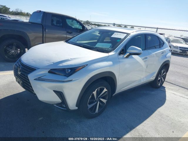 Photo 1 VIN: JTJGJRDZ9M5013148 - LEXUS NX 300H 