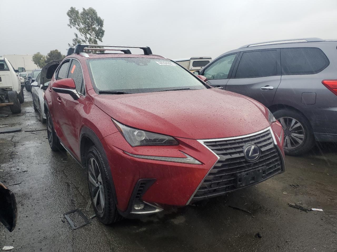 Photo 3 VIN: JTJGJRDZXL5006899 - LEXUS NX 