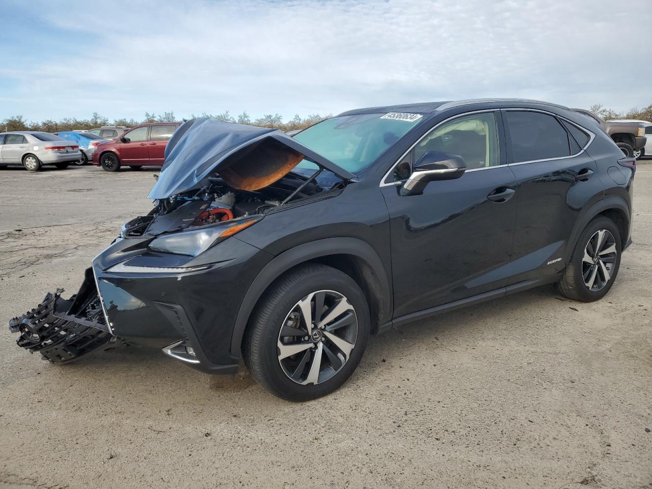 Photo 0 VIN: JTJGJRDZXM2151475 - LEXUS NX 