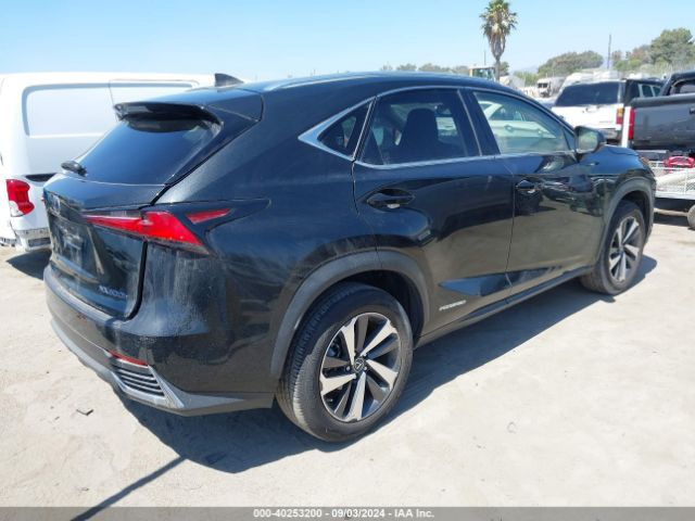 Photo 3 VIN: JTJGJRDZXM2163710 - LEXUS NX 