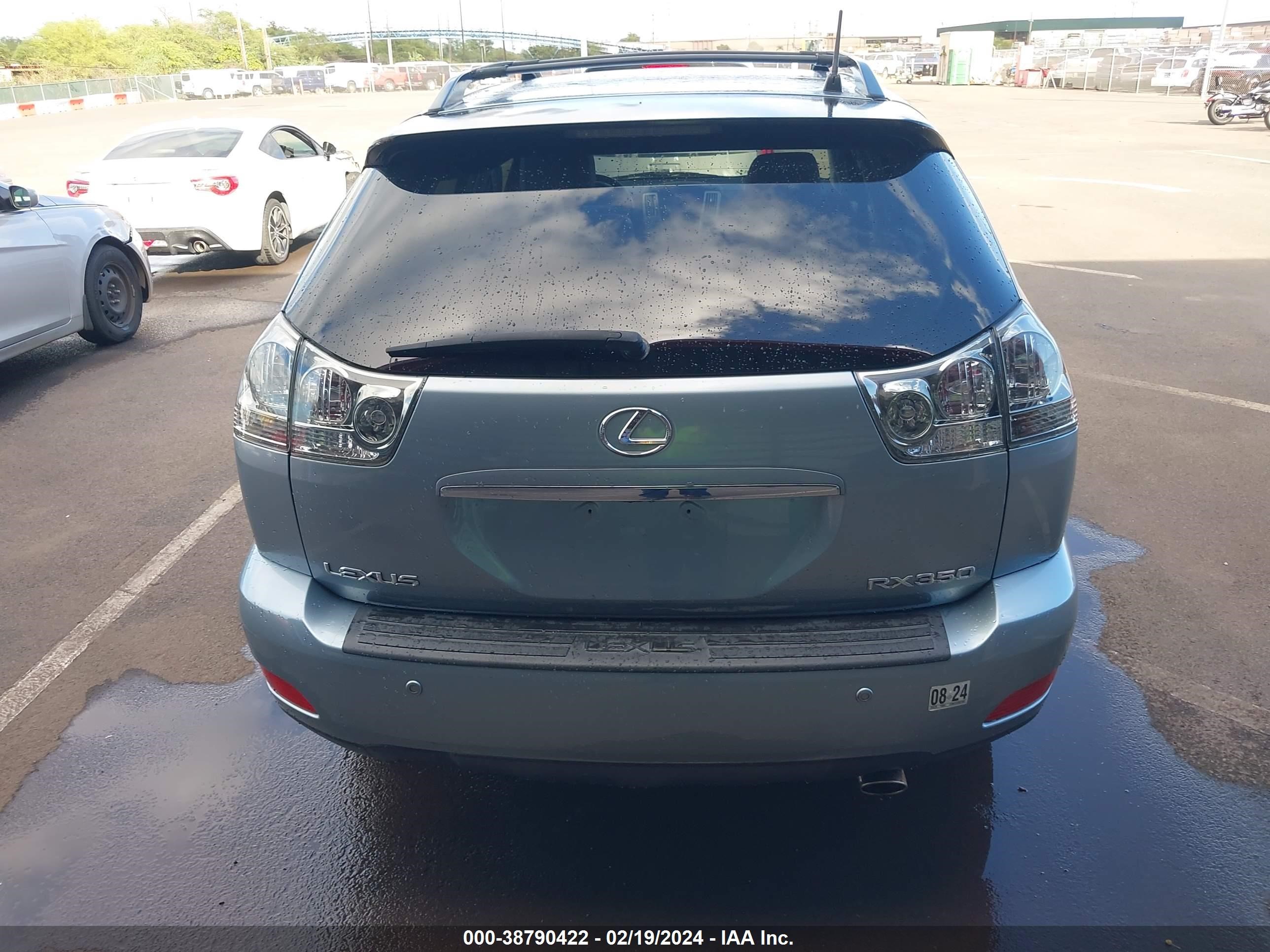 Photo 16 VIN: JTJGK31U490015607 - LEXUS RX 