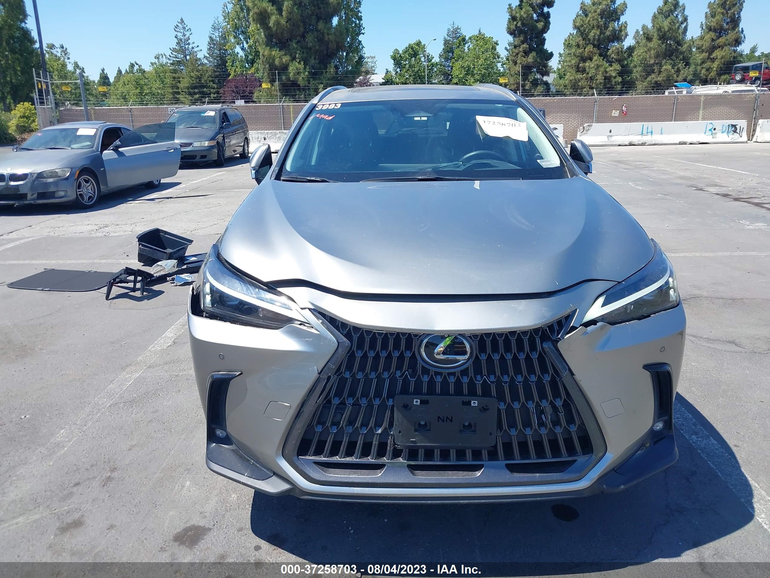 Photo 12 VIN: JTJGKCEZ1N5003983 - LEXUS NX 