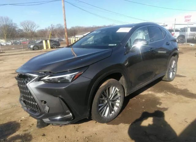 Photo 1 VIN: JTJGKCEZ2N5002275 - LEXUS NX 