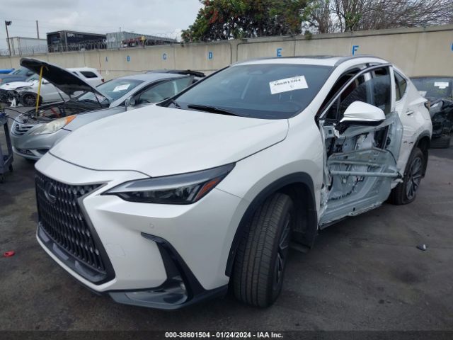 Photo 1 VIN: JTJGKCEZ2N5004527 - LEXUS NX 350H 