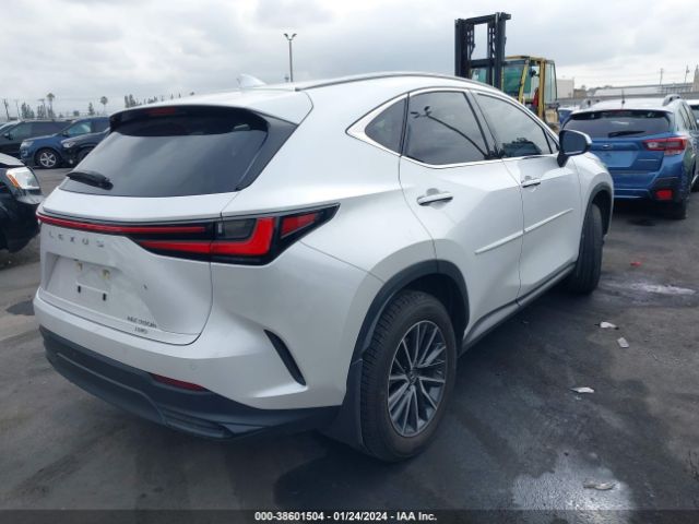 Photo 3 VIN: JTJGKCEZ2N5004527 - LEXUS NX 350H 