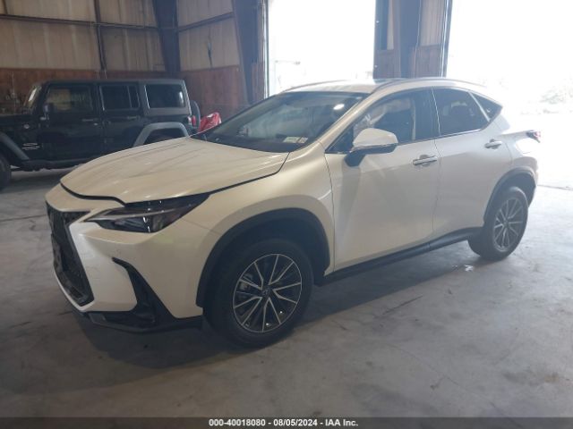 Photo 1 VIN: JTJGKCEZ2R2023148 - LEXUS NX 