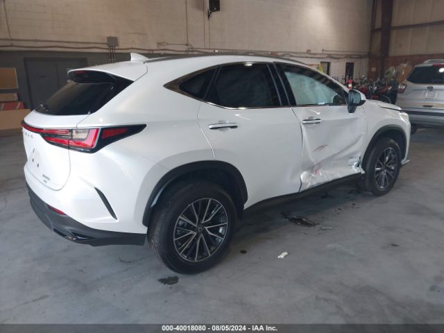 Photo 3 VIN: JTJGKCEZ2R2023148 - LEXUS NX 