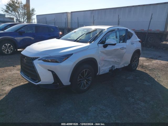 Photo 1 VIN: JTJGKCEZ3R2017469 - LEXUS NX 