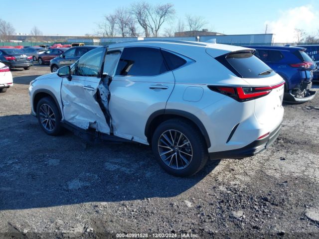 Photo 2 VIN: JTJGKCEZ3R2017469 - LEXUS NX 