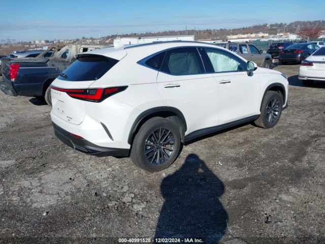 Photo 3 VIN: JTJGKCEZ3R2017469 - LEXUS NX 