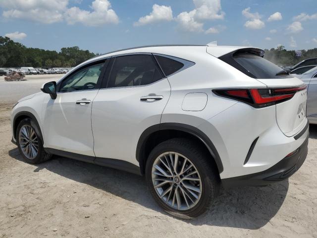 Photo 1 VIN: JTJGKCEZ5N5000486 - LEXUS NX 350H 