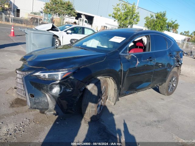 Photo 1 VIN: JTJGKCEZ6N5004367 - LEXUS NX 