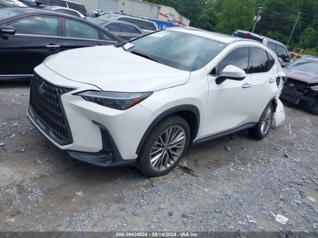 Photo 1 VIN: JTJGKCEZ6P2010836 - LEXUS NX 350H 