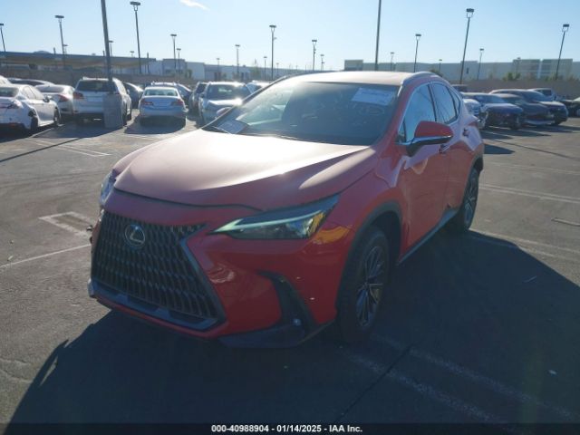 Photo 1 VIN: JTJGKCEZ8N2003786 - LEXUS NX 