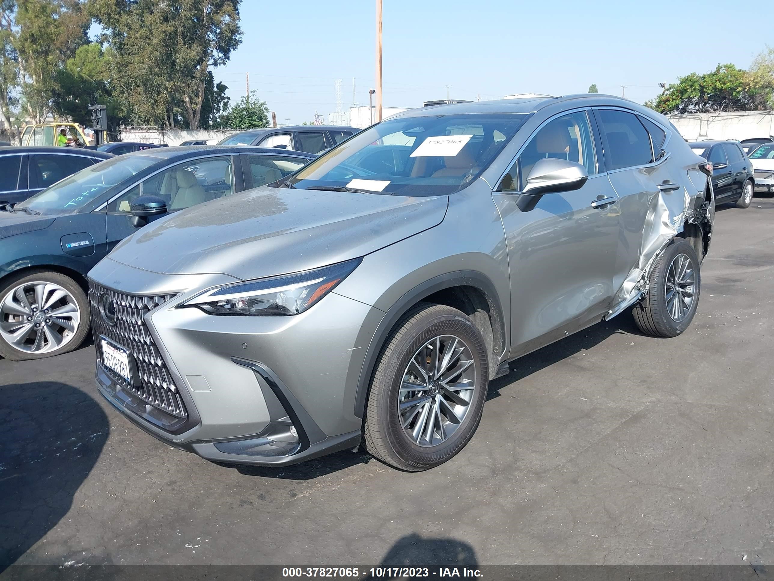 Photo 1 VIN: JTJGKCEZ9P2015299 - LEXUS NX 