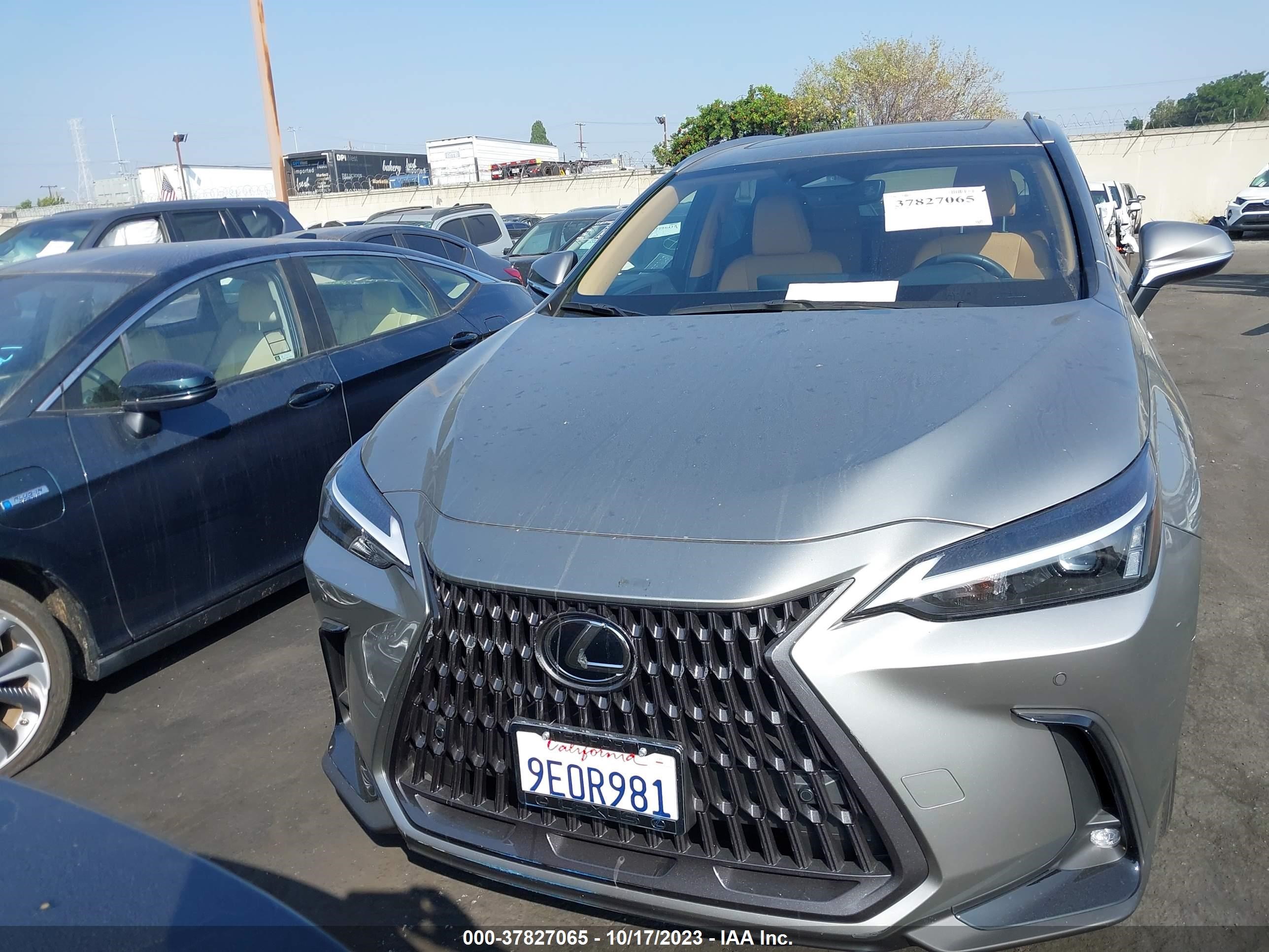 Photo 11 VIN: JTJGKCEZ9P2015299 - LEXUS NX 