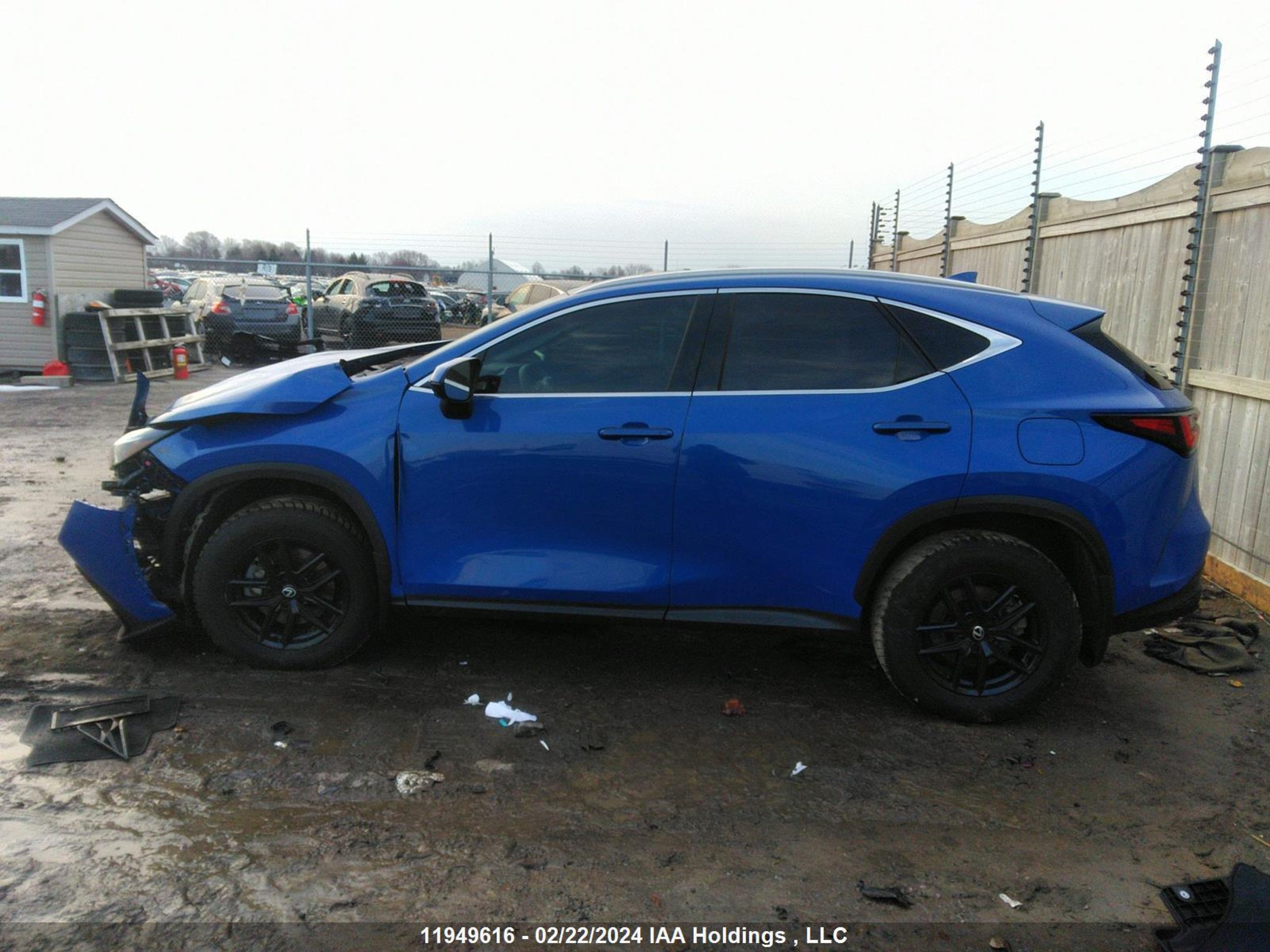 Photo 13 VIN: JTJGKCEZXN2003644 - LEXUS NX 