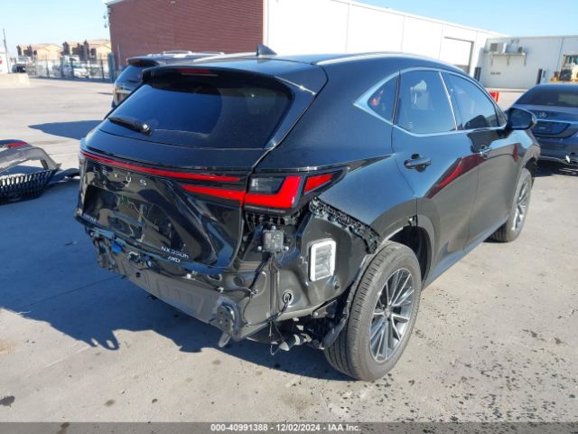 Photo 3 VIN: JTJGKCEZXR2028274 - LEXUS NX 