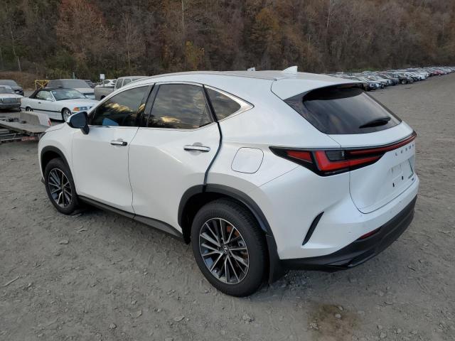 Photo 1 VIN: JTJGKCEZXR2035323 - LEXUS NX 350H BA 