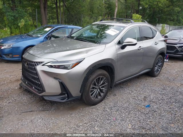 Photo 1 VIN: JTJGKCEZXR5016382 - LEXUS NX 