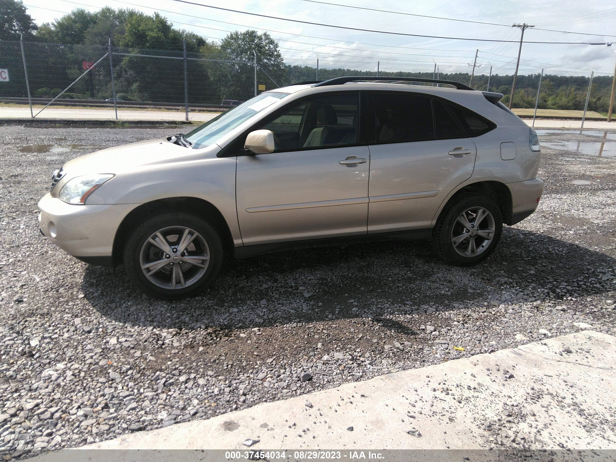 Photo 1 VIN: JTJGW31U060003891 - LEXUS RX 