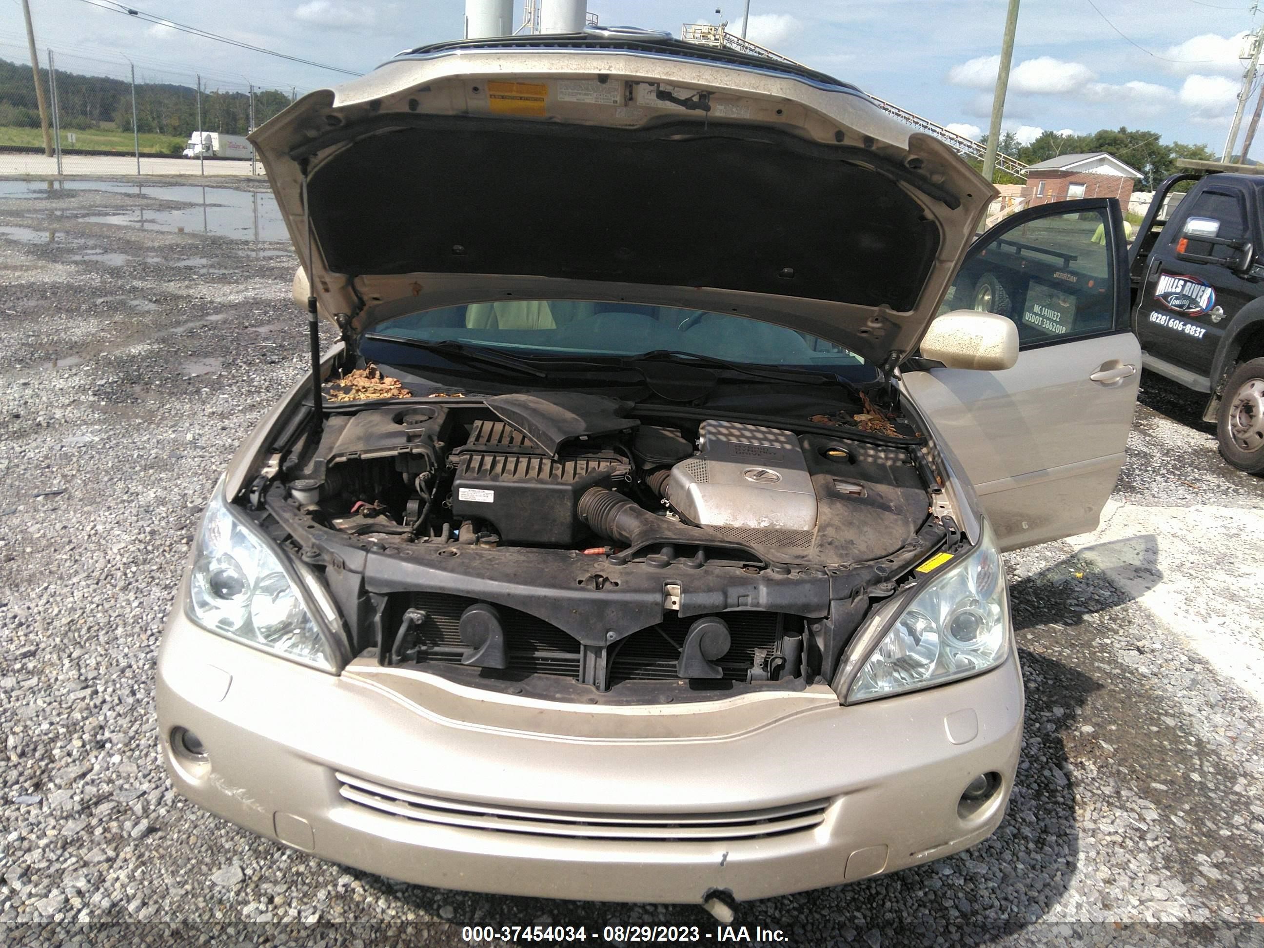 Photo 9 VIN: JTJGW31U060003891 - LEXUS RX 