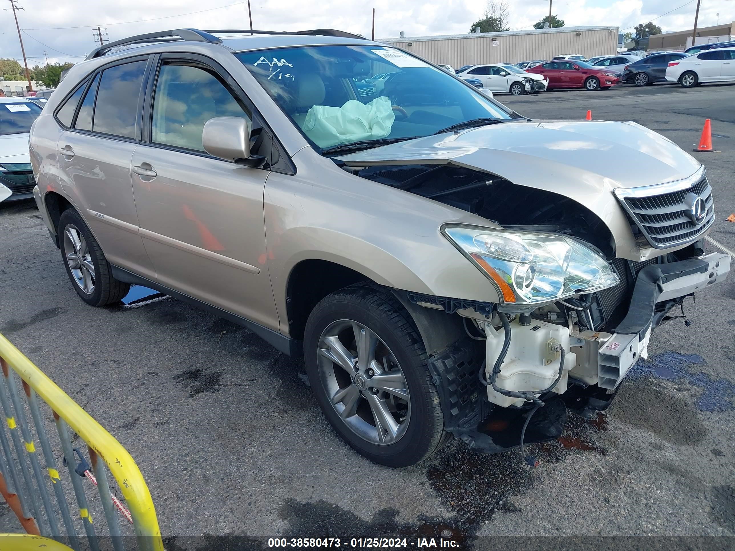 Photo 0 VIN: JTJGW31U572001270 - LEXUS RX 