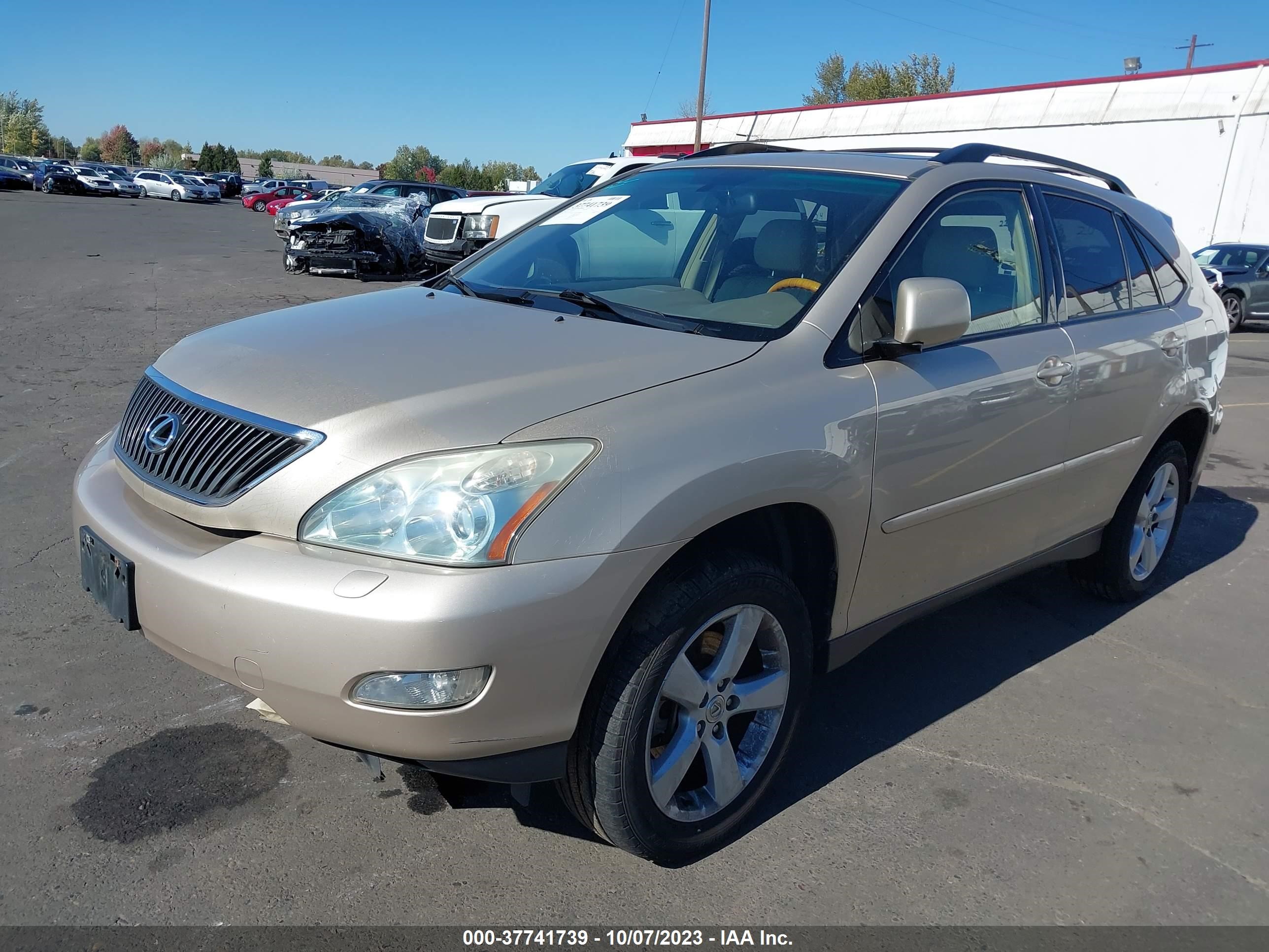 Photo 1 VIN: JTJHA31U040043775 - LEXUS RX 